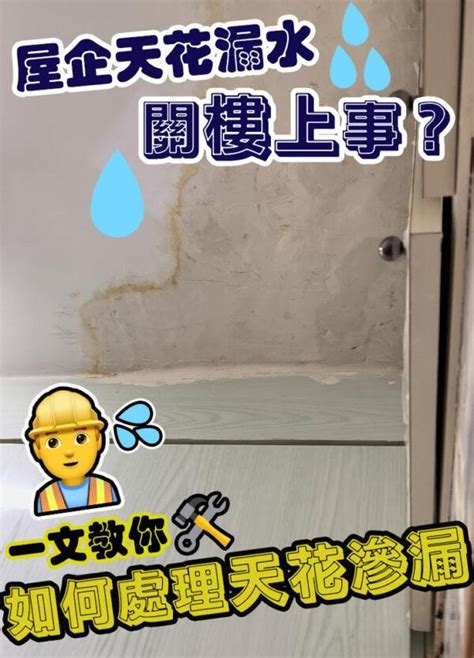 漏水問題|如何處理漏水問題？一篇弄懂漏水檢測費用與修理方法！